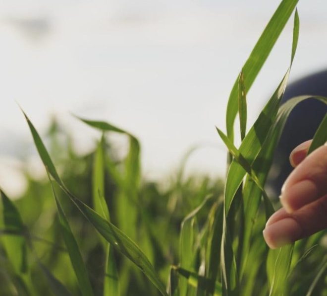 Cases: Fertilizer registration in Ukraine